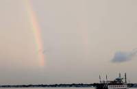 FB_IMG_1551967555959